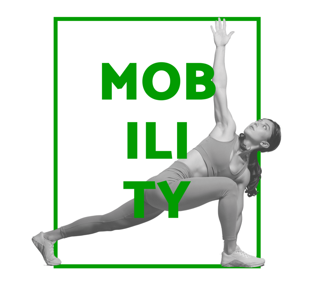 MOBILITY CLASES